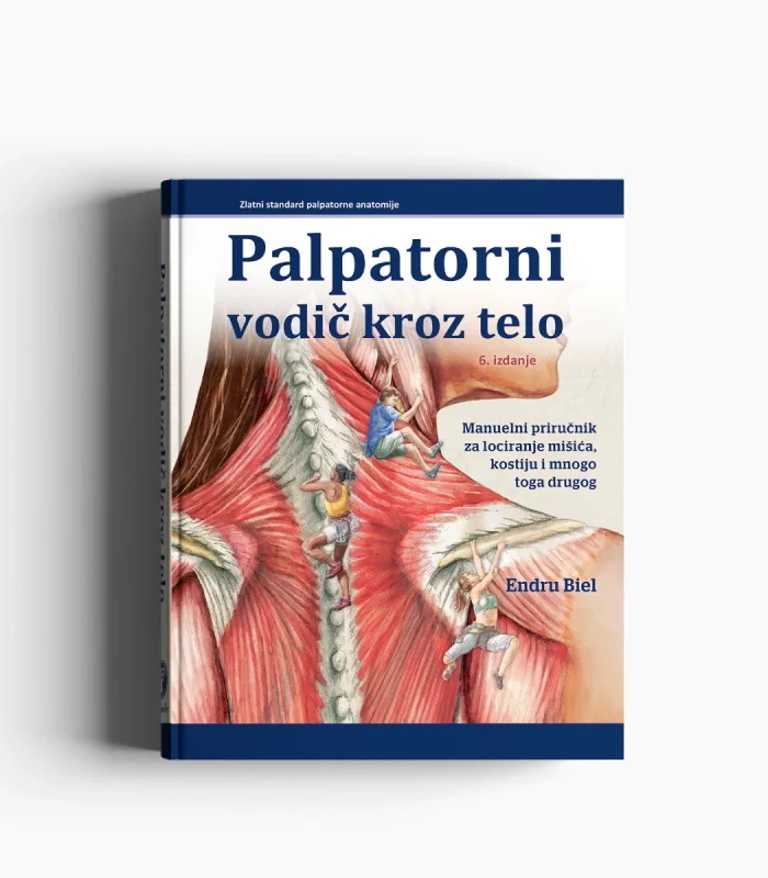 Palpatorni vodič kroz telo